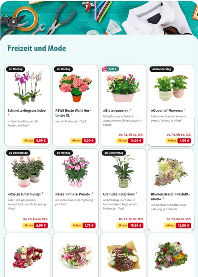 REWE Bio Eier Angebot