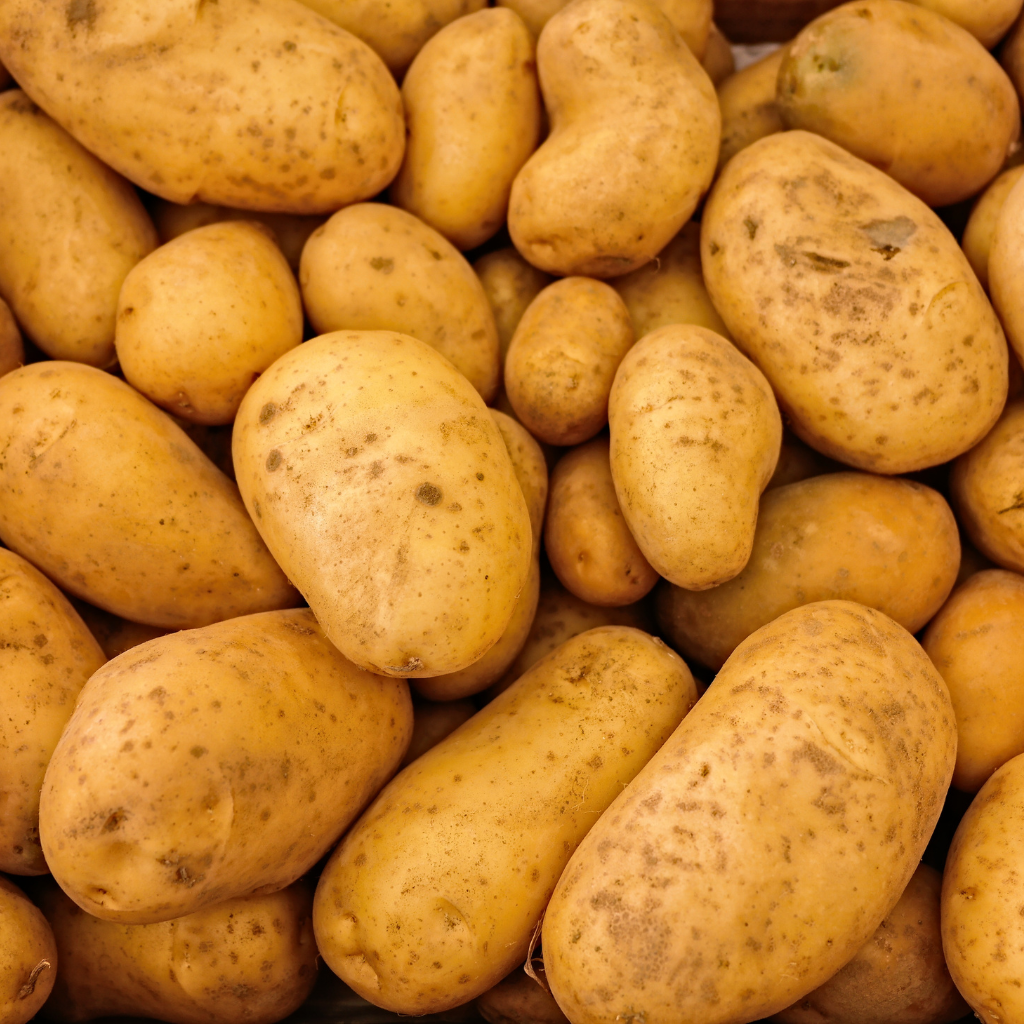 Frische Kartoffeln