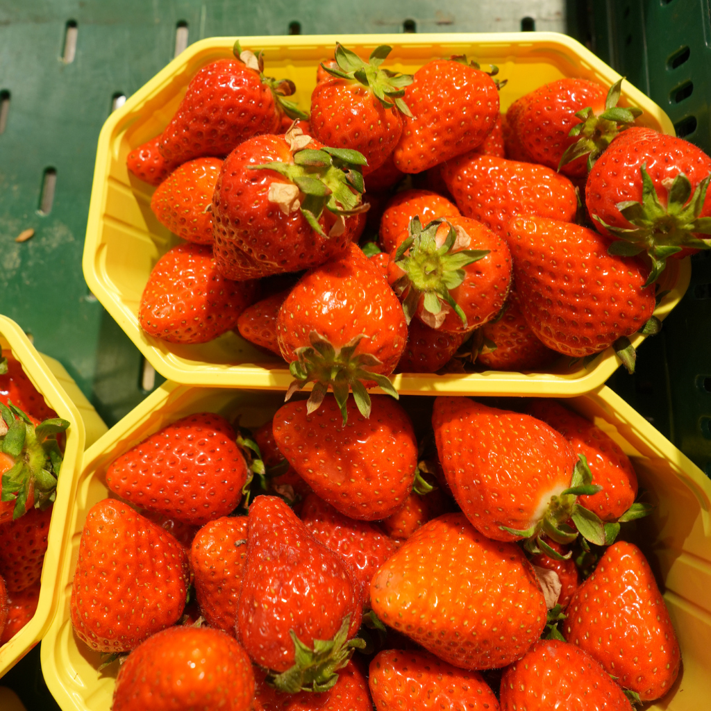 Saisonales Obst